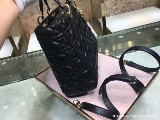 Tony Luxuries LARGE LADY BAG diro 0715